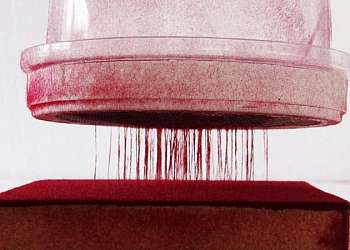 Cola para gesso artesanato Cola para gesso artesanato