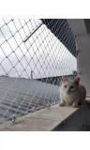 Rede de proteção removível Rede de proteção removível